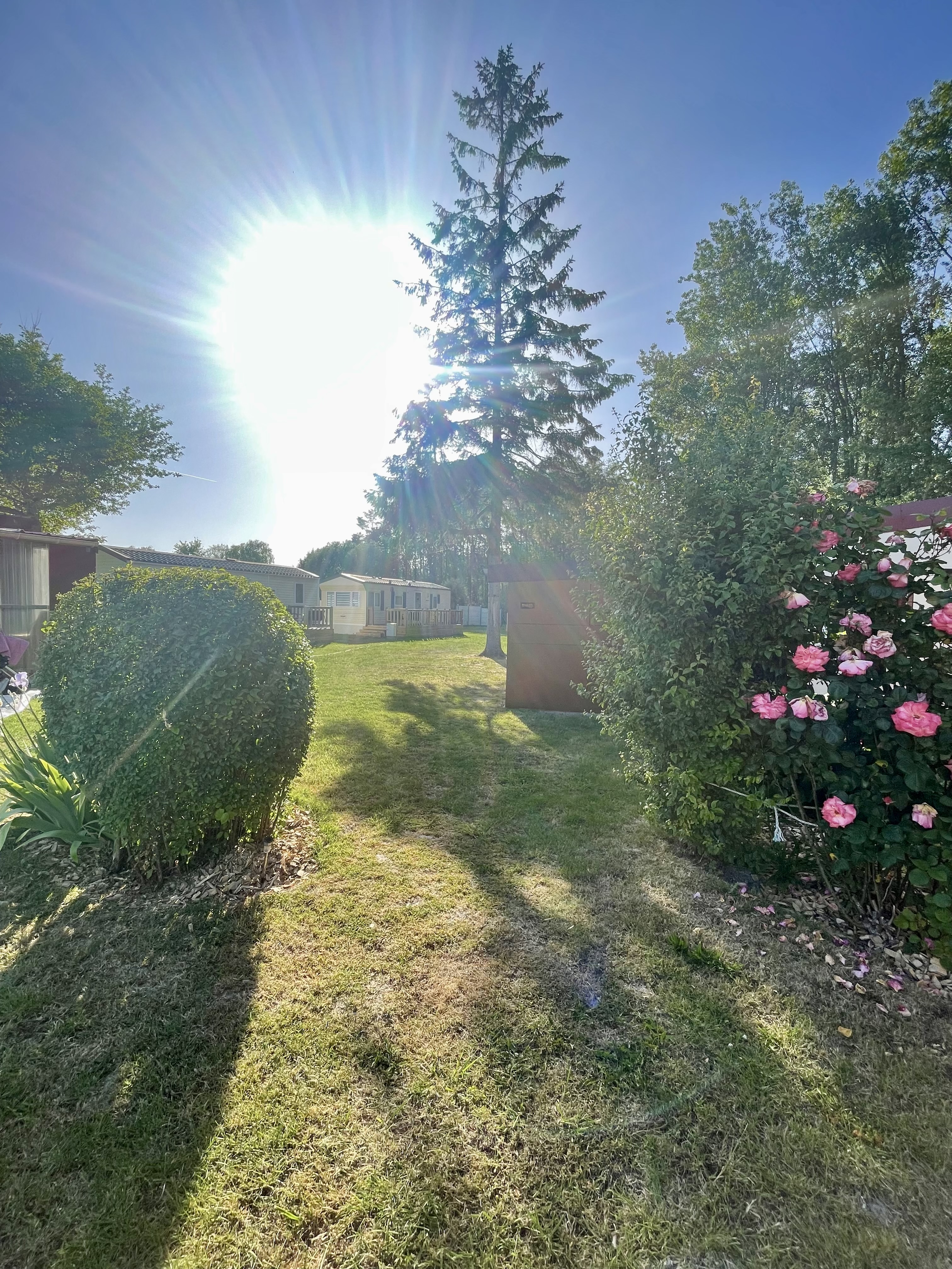 Jardins fleuris